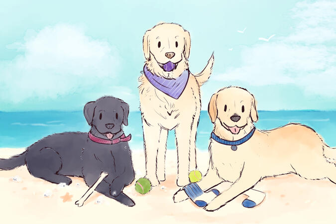 Example for Tier 2 & 3